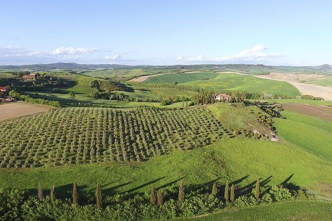 Chianti Classico, Montalcino, Montepulciano by minivan: Wine Tastings & Lunch - Montepulciano on the hill: steep streets, squares, and a cellar visit