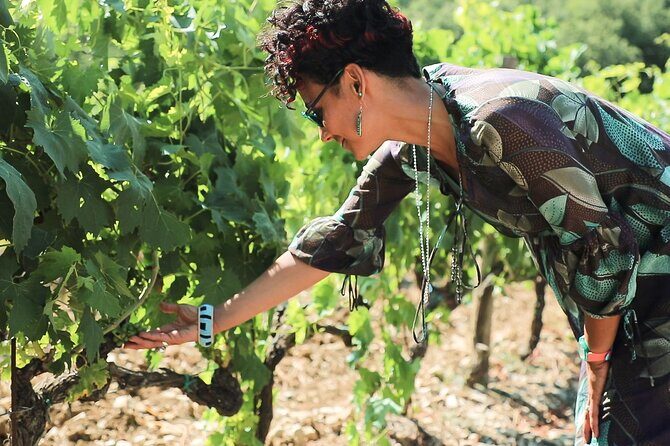 Chianti Classico, Montalcino, Montepulciano by minivan: Wine Tastings & Lunch - Price and logistics: what $348.41 buys you