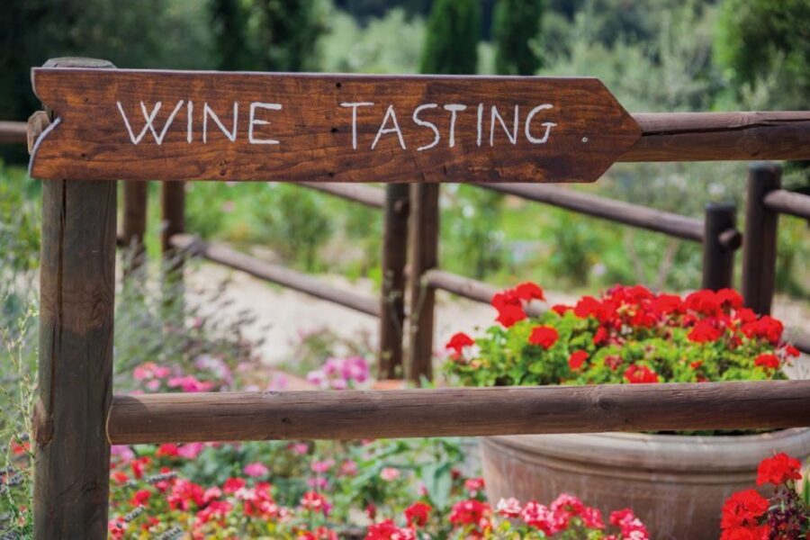 Chianti Countryside Full-Day Tour by Vintage Fiat 500 - Who should book this Fiat 500 Chianti tour (and who might not)