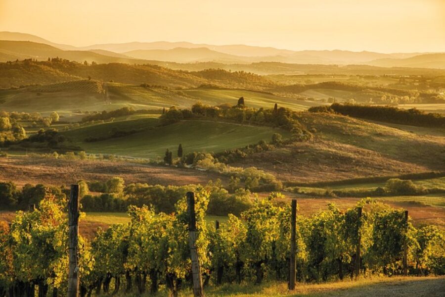 Chianti Countryside Full-Day Tour by Vintage Fiat 500 - Castellina in Chianti: breaks, photos, and self-guided wandering
