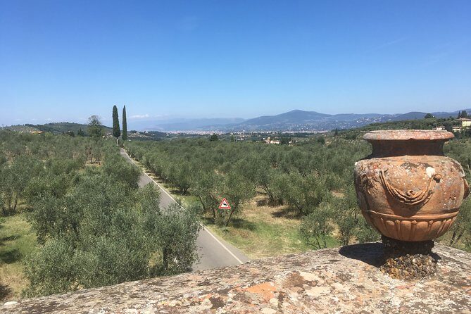 Chianti e-bike tour from Florence with wine tasting - Chianti Classico winery time: wine tasting plus a real food stop