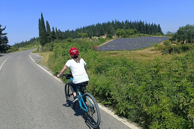 Chianti e-bike tour from Florence with wine tasting - Weather, timing, and who this tour is best for