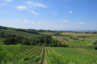 Chianti Hills: App‑Guided e‑Vespa Tour + Lunch in Greve - Getting started in Florence: timing, meeting point, and your first decisions