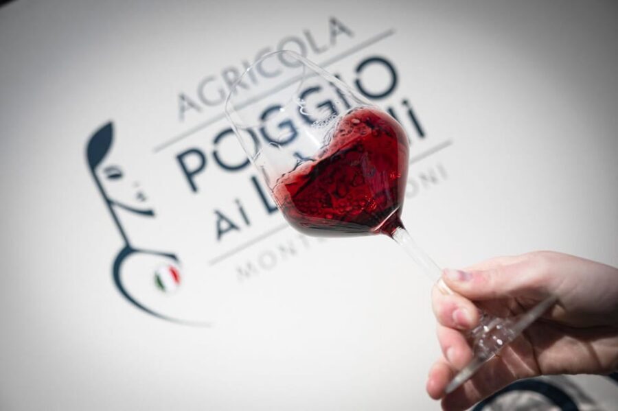Chianti: Lunch with Wine Tasting at Poggio ai Laghi Winery - Price and value check: what $56.94 buys you (and what it doesn’t)