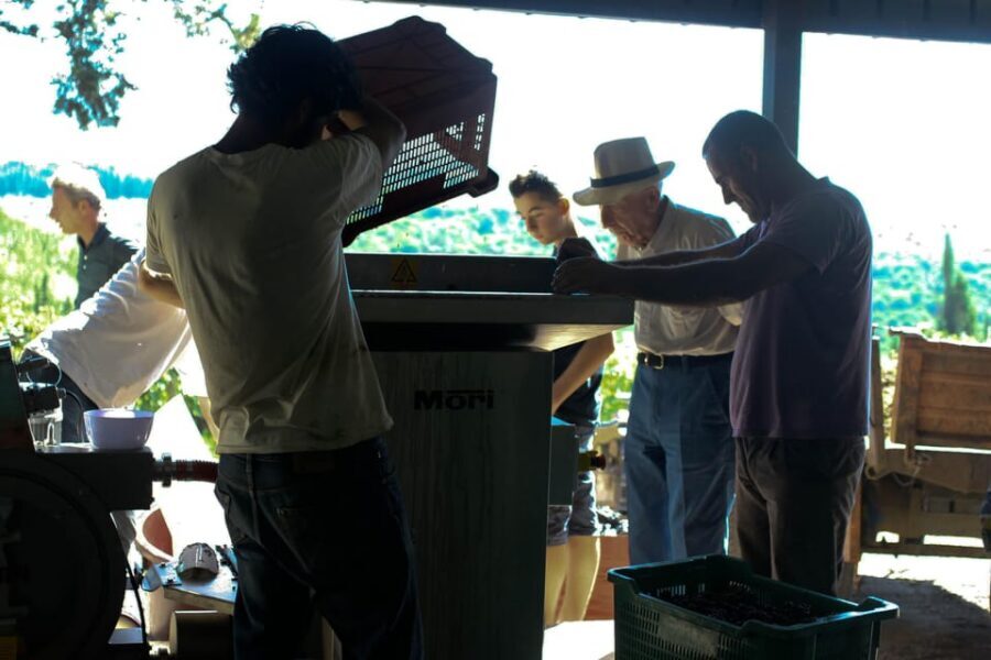 Chianti Organic wine tasting - A family-run Chianti day built around real production