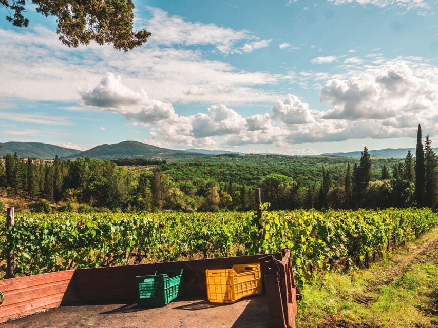 Chianti Organic wine tasting - Seasonal Tuscan food pairings that don’t fight the wine