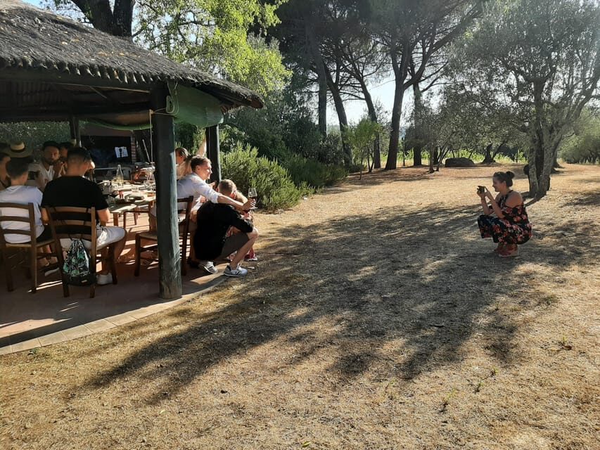 Chianti Organic wine tasting - Price and value: is $68 worth it?