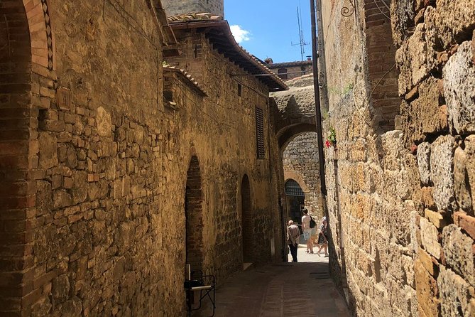 Chianti Region and San Gimignano including wine tasting and light lunch - The winery visit: demonstration and tasting you can actually enjoy