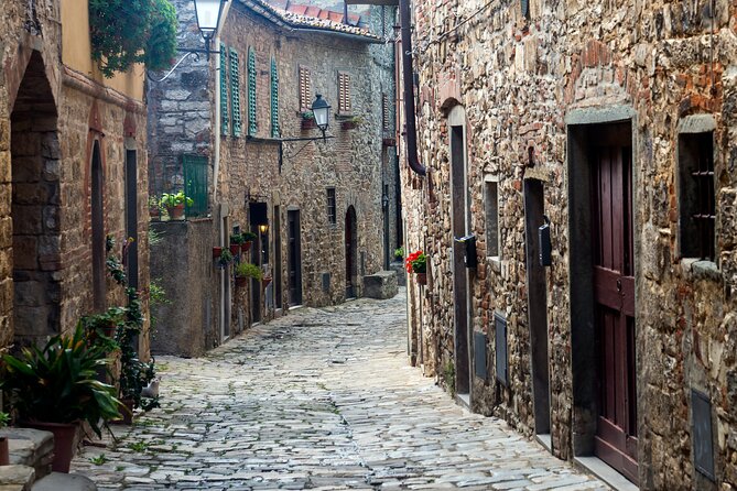 Chianti Region and San Gimignano including wine tasting and light lunch - How the transport and private format affects your day