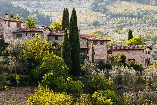 Chianti Region and San Gimignano including wine tasting and light lunch - Should you book this Chianti and San Gimignano day trip?