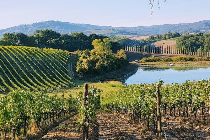 Chianti, San Gimignano and Siena Full Day Trip with Wine Tastings - San Gimignano: Vernaccia towers and 2 hours of free roaming