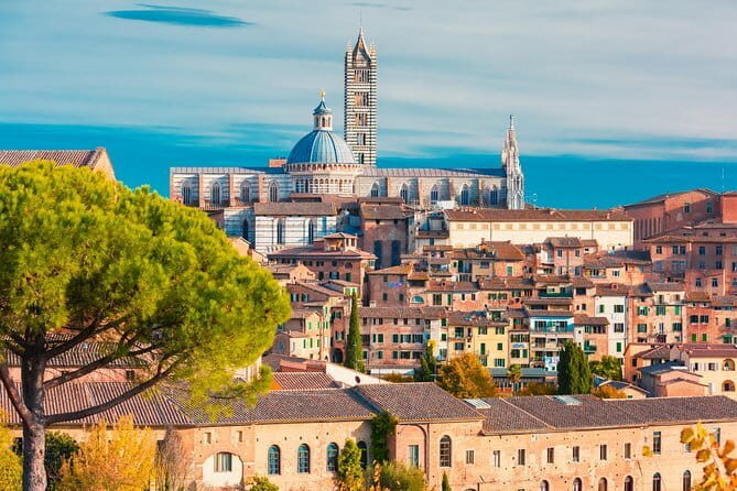Chianti, San Gimignano and Siena Full Day Trip with Wine Tastings - Castellina in Chianti tasting session: wines, local bites, and olive oil