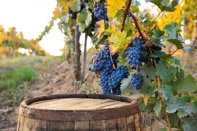 Chianti, San Gimignano and Siena Full Day Trip with Wine Tastings - Price and value vs. what you get