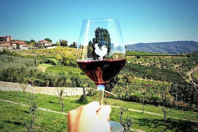 Chianti & Supertuscan Private Tour 2 Wineries with light lunch - A Lucca-to-Chianti private day that actually feels personal