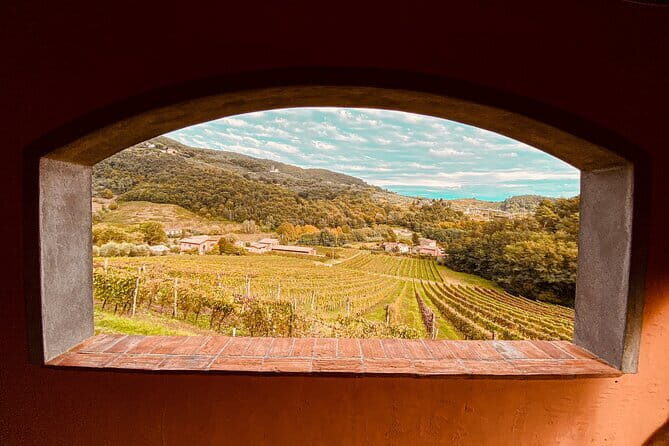 Chianti & Supertuscan Private Tour 2 Wineries with light lunch - Practical tips that make the day smoother