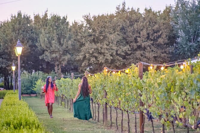 Chianti Vineyards Escape from Florence with Two Wine Tastings - What You Actually Drink and Eat (and What to Bring)