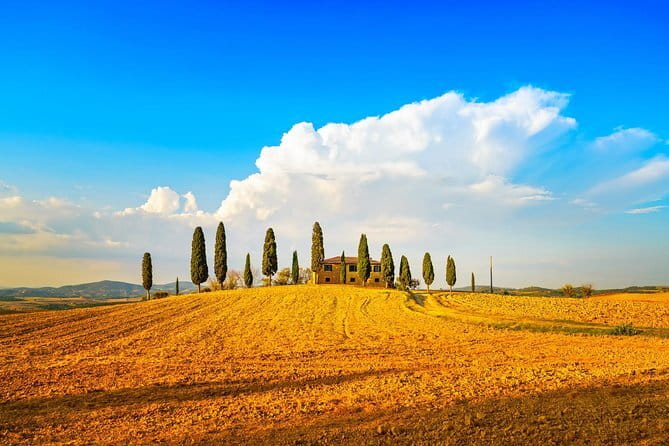 Chianti Vineyards Escape from Florence with Two Wine Tastings - Group Size, Pace, and the One Thing to Watch
