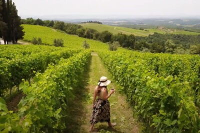 Chianti vineyards: Small-Group tour with wine tasting & Dinner - The Candlelit Courtyard Dinner: 4 Courses Under Real Country Light