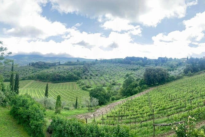 Chianti Vineyards Tours in Private Luxury Van from Florence - FAQ