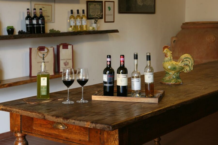 Chianti: Wine and Olive Oil Tasting with Cellar Tour - A one-hour Chianti tasting at Fattoria Santo Stefano