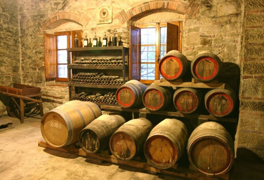 Chianti: Wine and Olive Oil Tasting with Cellar Tour - Orciaia and olive oil after pressing: where freshness starts