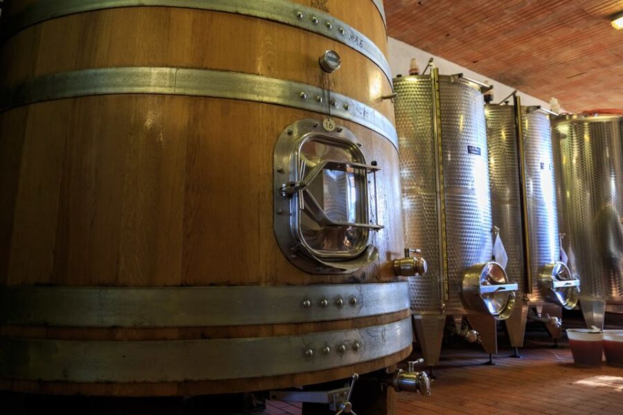 Chianti: Wine and Olive Oil Tasting with Cellar Tour - Should you book? My practical take