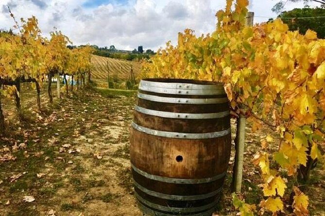 Chianti Wine and Vinci half day Small Group Tour from Lucca - Key points to know before you go