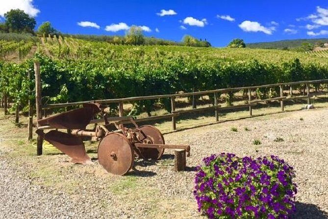 Chianti Wine and Vinci half day Small Group Tour from Lucca - Piazza dei Guidi in Vinci: Holy Cross Church and da Vinci’s baptismal spot