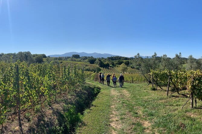 Chianti Wine Tasting Tour from Florence (2 Wineries) - Stop 1: Your First Winery Tasting and How to Budget It