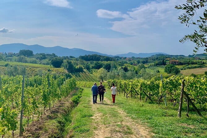 Chianti Wine Tasting Tour from Florence (2 Wineries) - The Scenic Tuscany Drive: Where the Day’s Mood Gets Set