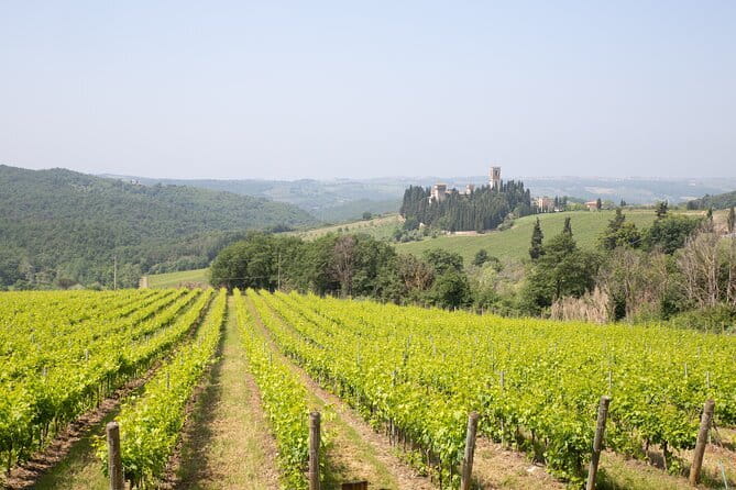 Chianti Wine Tastings Day Trip at Sunset from Florence - Greve in Chianti and Montefioralle: the perfect pacing break