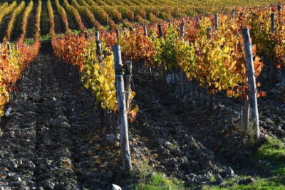 Chianti Wine Tour from Florence to San Gimignano with 2 Wineries - Piazzale Michelangelo: A Quick Florence Start