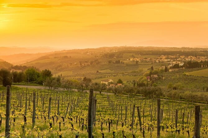 Chianti Wine Tour from Florence to San Gimignano with 2 Wineries - Two Wine Stops in Chianti: How You Get Beyond Just Sipping