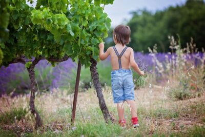 Chianti Wine Tour in Tuscany from Florence - Medieval Manhattan: Towers, Squares, and Dondoli-Style Gelato Time