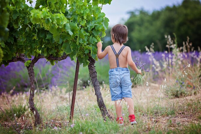 Chianti Wine Tour in Tuscany from Florence - Medieval Manhattan: Towers, Squares, and Dondoli-Style Gelato Time