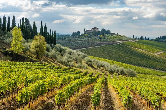 Chianti Wine Tour - Private Wine experience in Tuscany Countryside - Key highlights worth planning for