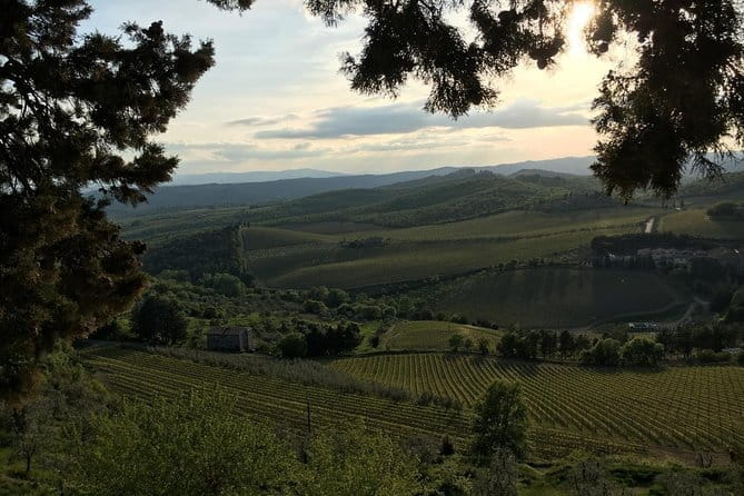 Chianti Wine Tour - Private Wine experience in Tuscany Countryside - A private Chianti day plan that feels like Tuscany, not a checklist