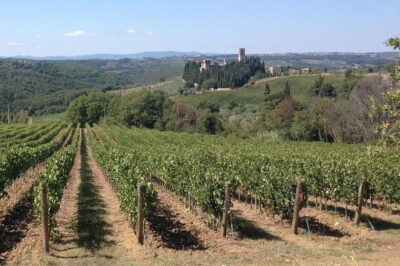 Chianti Wine Tour - Private Wine experience in Tuscany Countryside - Florence pickup and the road to the Chianti hills