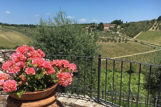 Chianti Wine Tour - Private Wine experience in Tuscany Countryside - Stop 3: Greve in Chianti for square time and a cappuccino break
