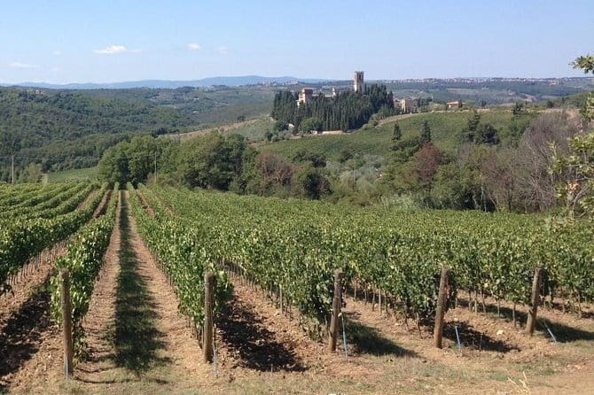 Chianti Wine Tour - Private Wine experience in Tuscany Countryside - Florence pickup and the road to the Chianti hills