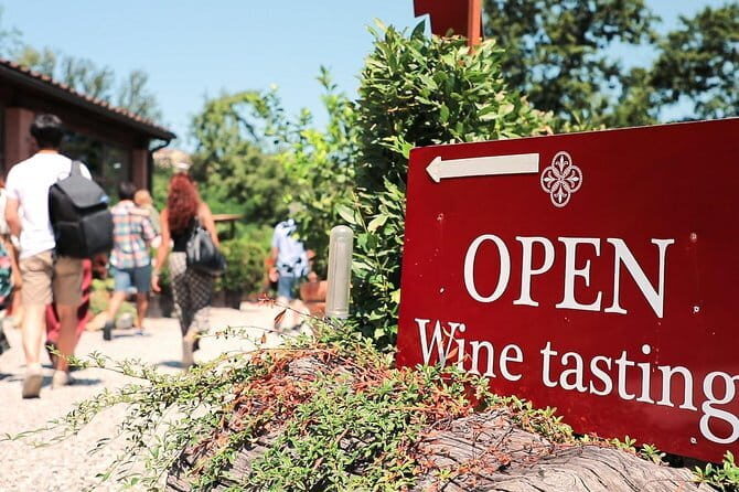 Chianti Wine Tour: Two Wine Tastings, Vineyards and Cellar Visit - Key moments worth planning for