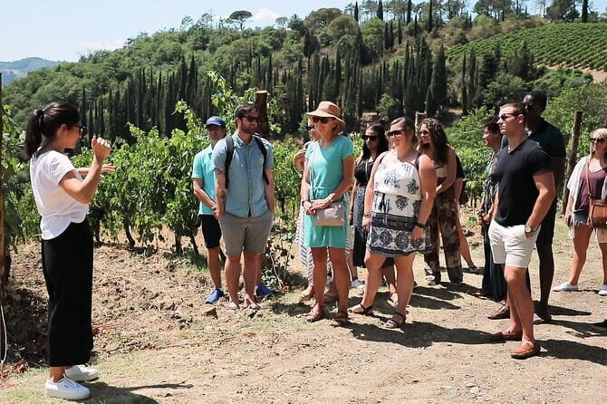 Chianti Wine Tour: Two Wine Tastings, Vineyards and Cellar Visit - Chianti wine tour from Florence: what you’re really buying