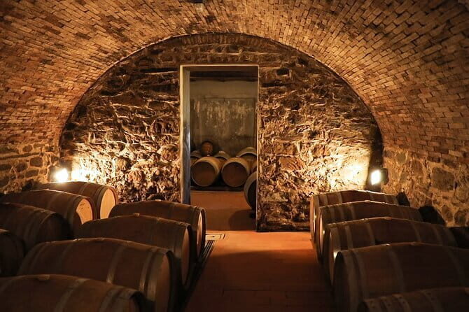 Chianti Wine Tour: Two Wine Tastings, Vineyards and Cellar Visit - How many wines will you taste, and how to pace yourself