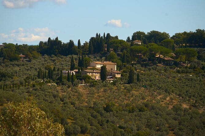 Chianti Wine Tour with Tastings Semi-Private Experience - The value of having a wine expert guide in the mix
