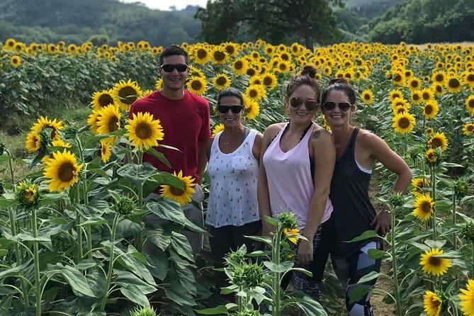 Chianti Wineries Tour with Tuscan Lunch and San Gimignano - Two winery stops in Chianti: tastings, lunch, and what to expect