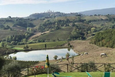 Chianti Wineries Tour with Tuscan Lunch and San Gimignano - San Gimignano in 90 minutes: what to see and how not to waste time
