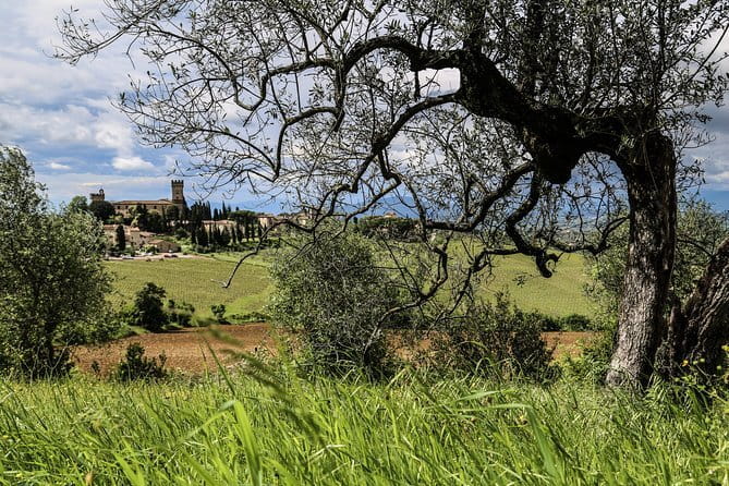 Chianti Wineries Tour with Tuscan Lunch and San Gimignano - Guide factor: how a great host changes the whole day