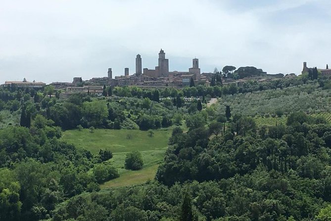 Chianti Wines and San Gimignano Tour from Florence (1 Winery) - Who should book this Chianti and San Gimignano day trip