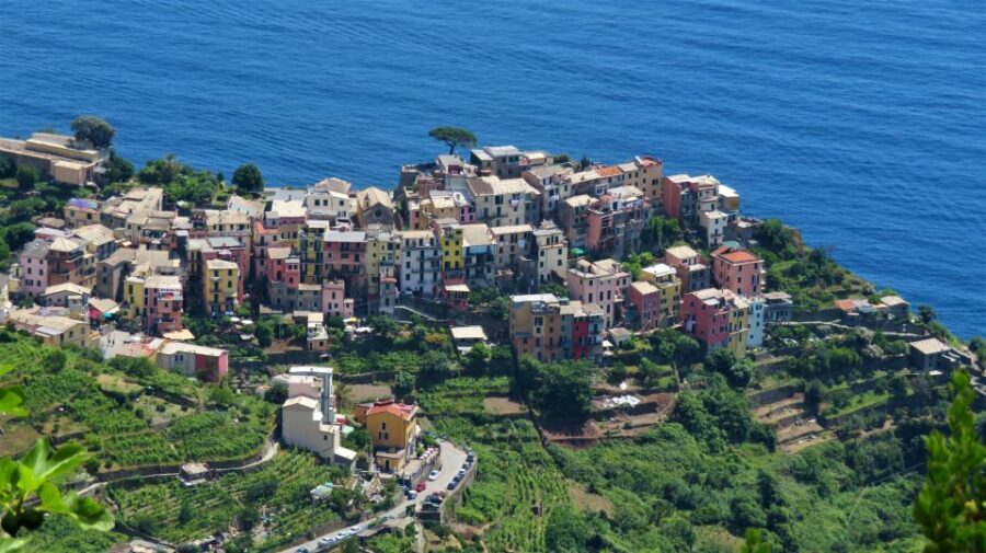 Cinque Terre Private Day Trip from Florence - Vernazza: lunch by the water and Cinque Terre wine time
