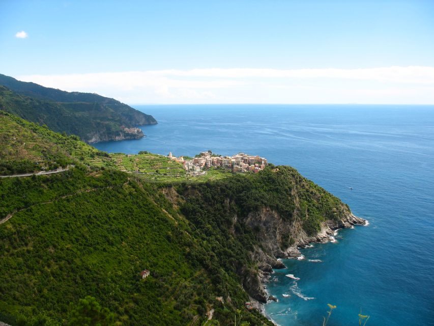 Cinque Terre Private Day Trip from Florence - The guides: clear communication and smart pacing